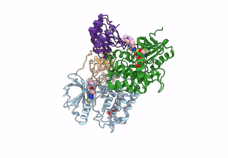 9R8B image