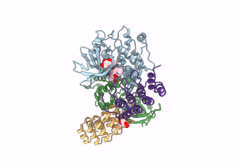 9R8C image