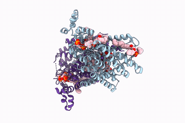 9R8N image
