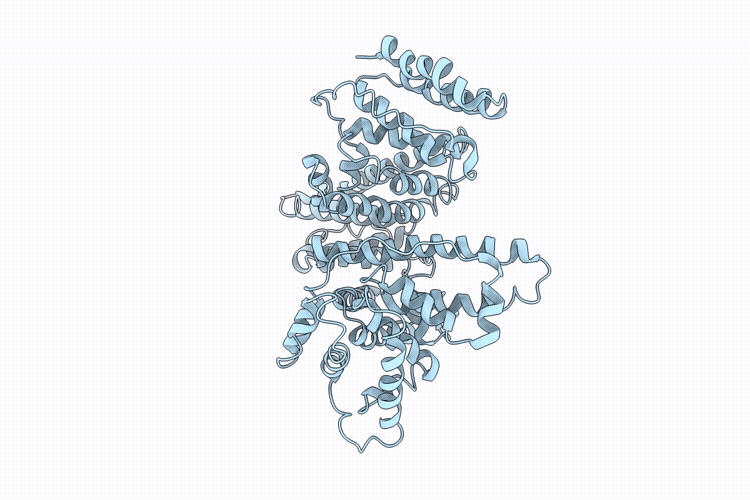 9R8P image