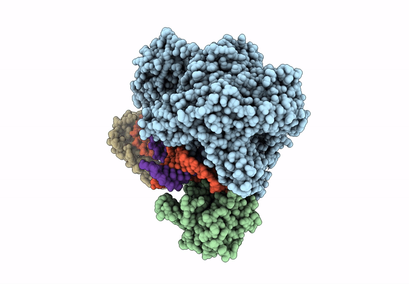 9R96 image