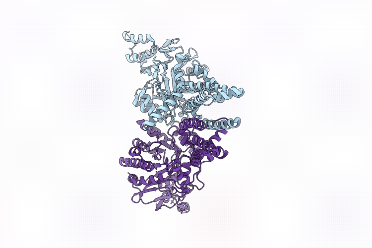 9R9A image