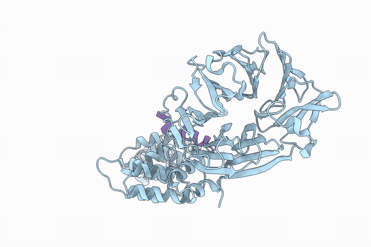 9R9B image