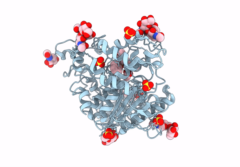 9R9E image