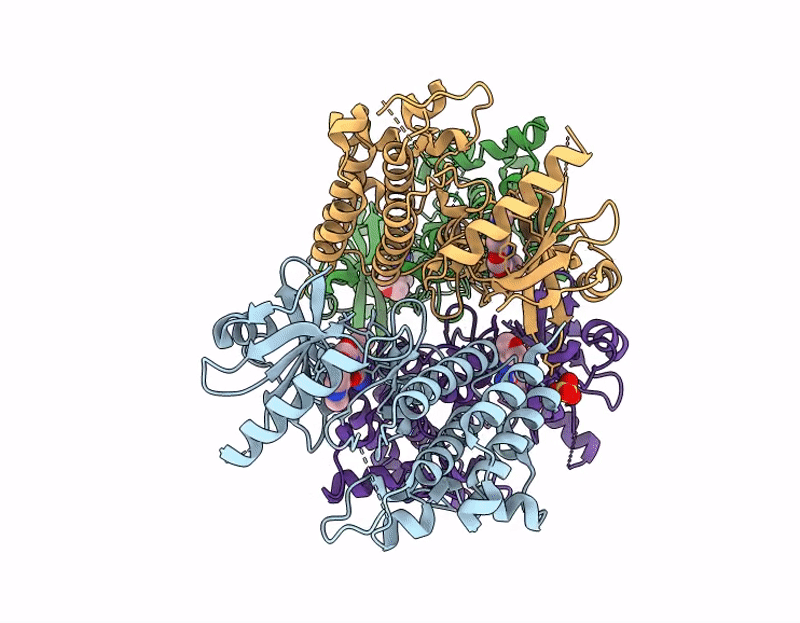 9R9K image