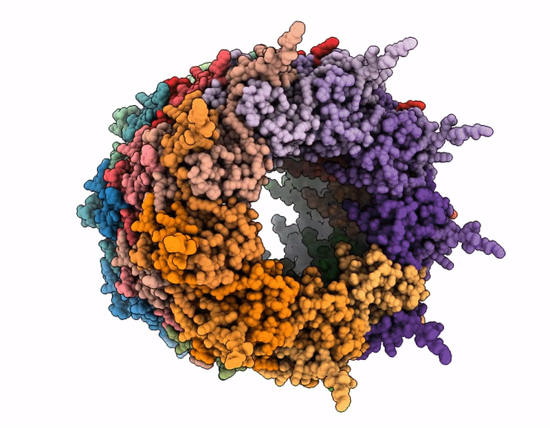 9R9Y image