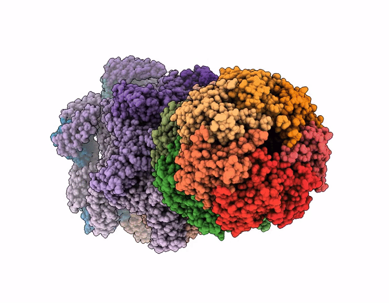 9RAI image