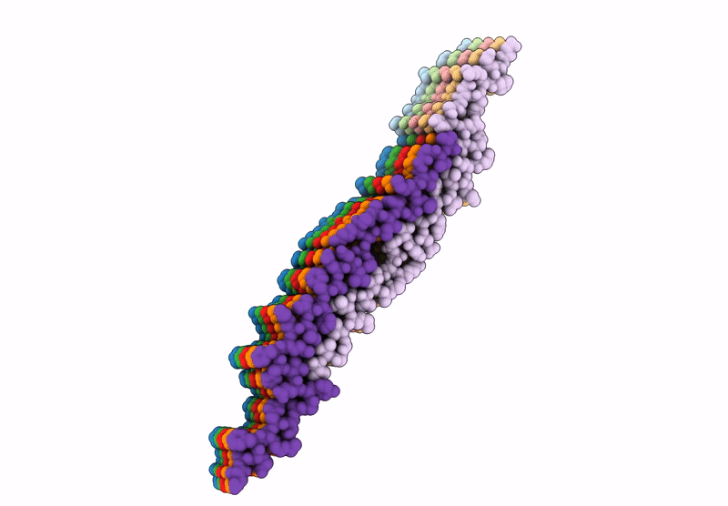 9RAX image