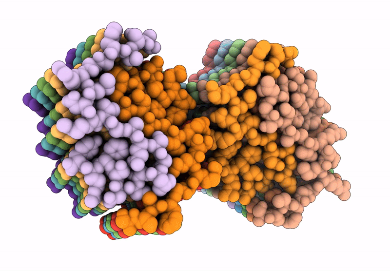 9RBD image