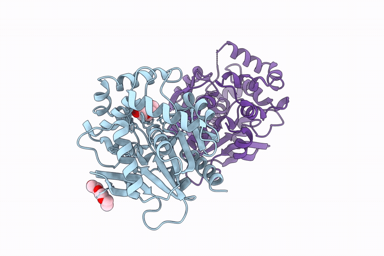 9RBP image