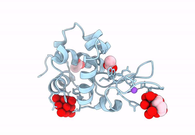 9RBT image