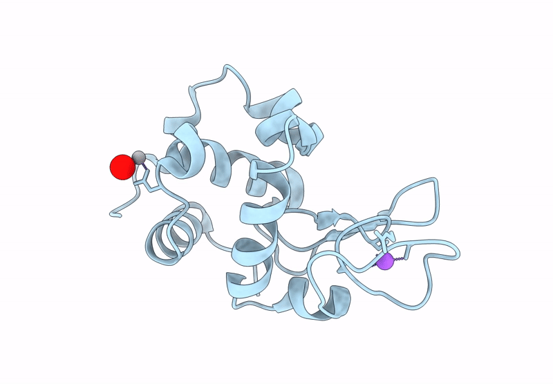 9RBV image