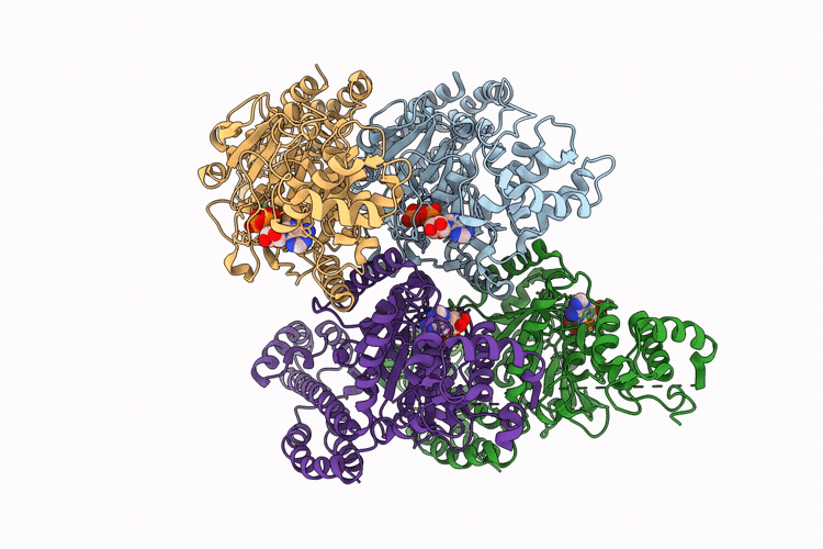 9RC1 image