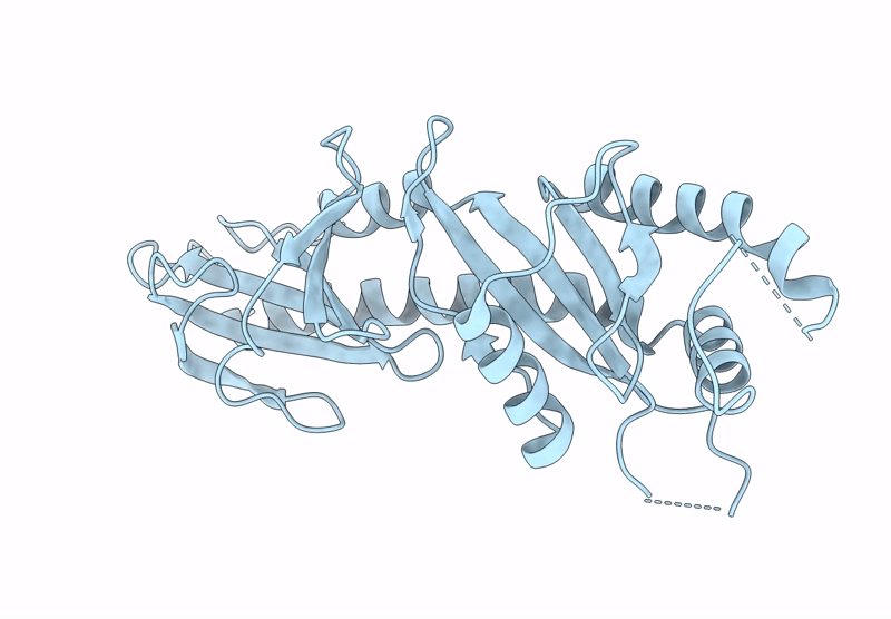 9RC2 image