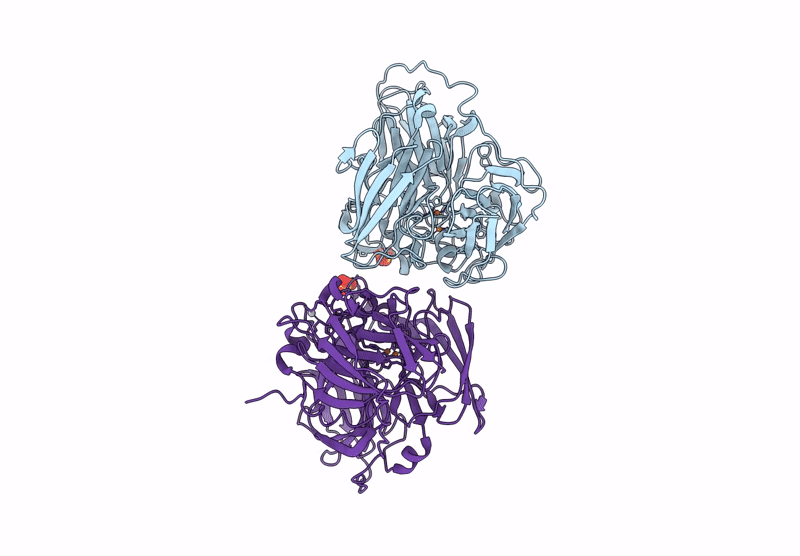 9RC3 image