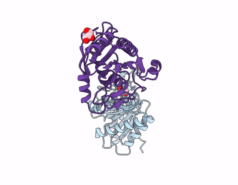 9RC4 image