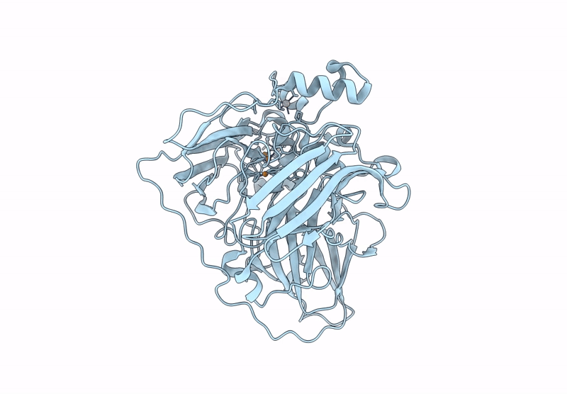 9RC5 image