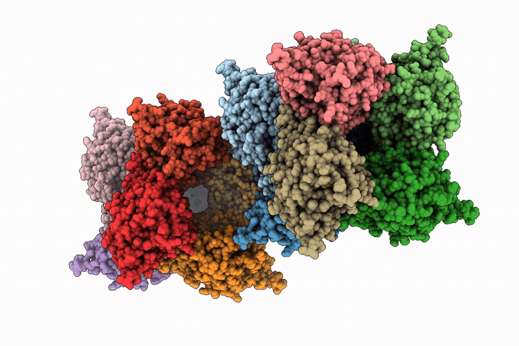 9RC7 image