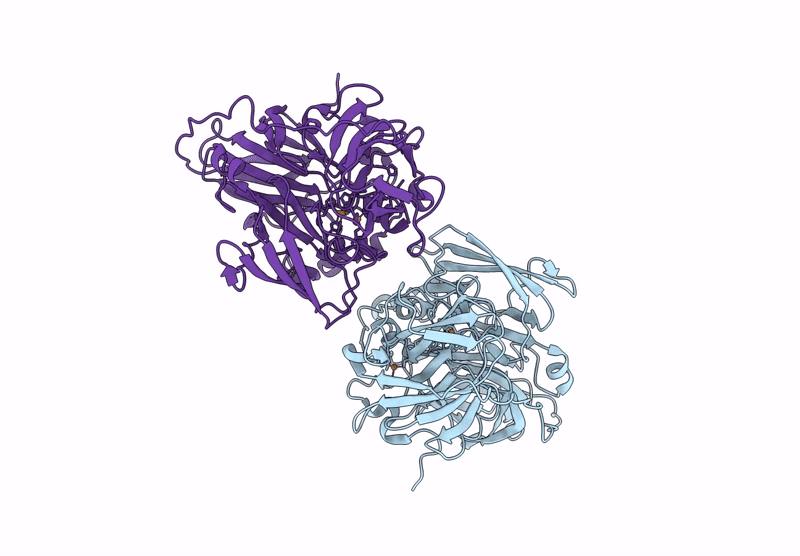 9RC8 image