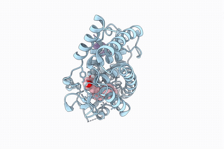 9RC9 image