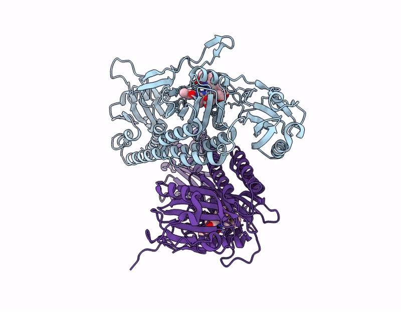 9RCC image