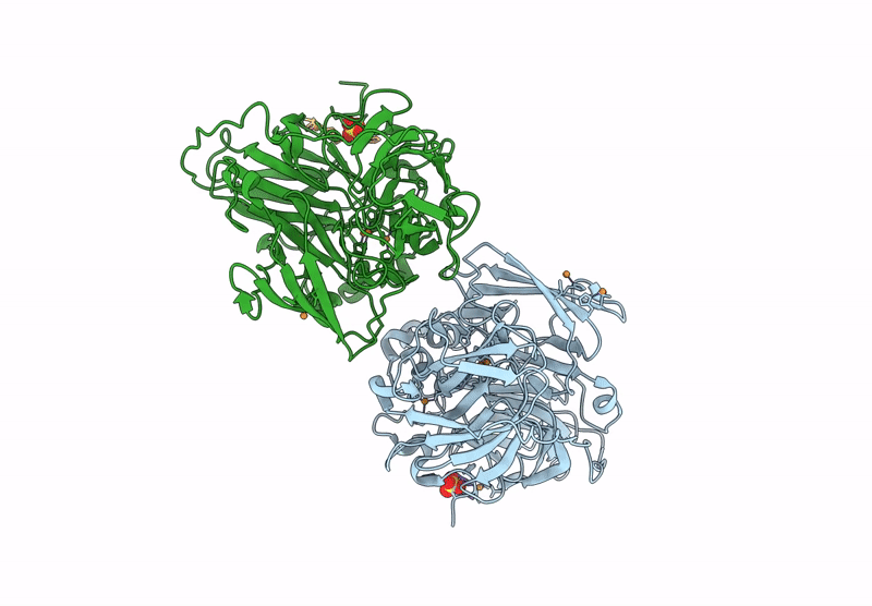 9RCJ image