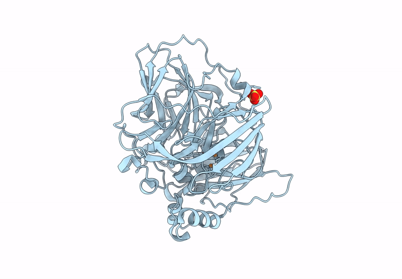 9RCM image