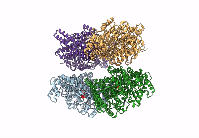 9RCP image
