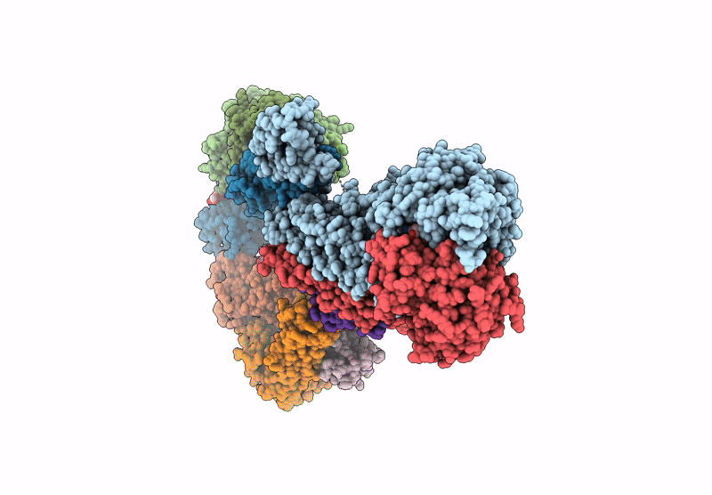 9RCV image