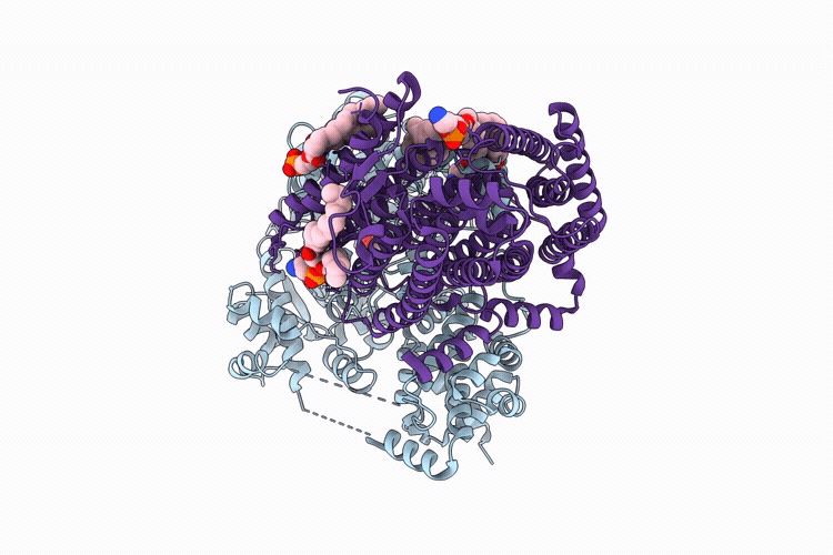 9RD8 image