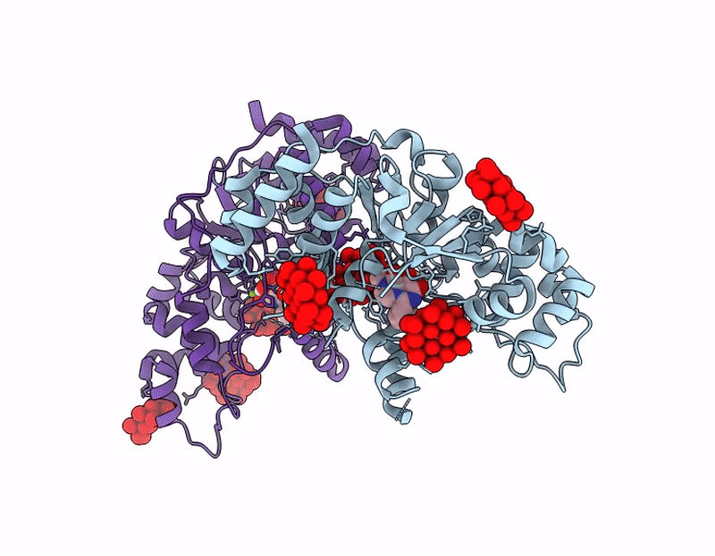 9RDI image