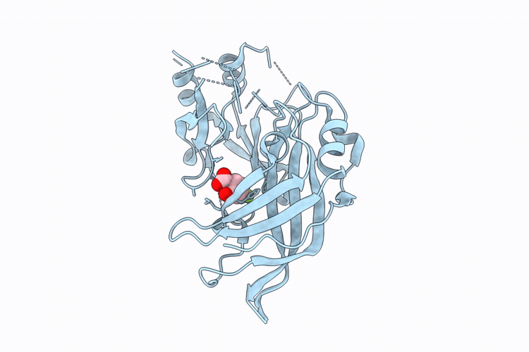 9RDL image