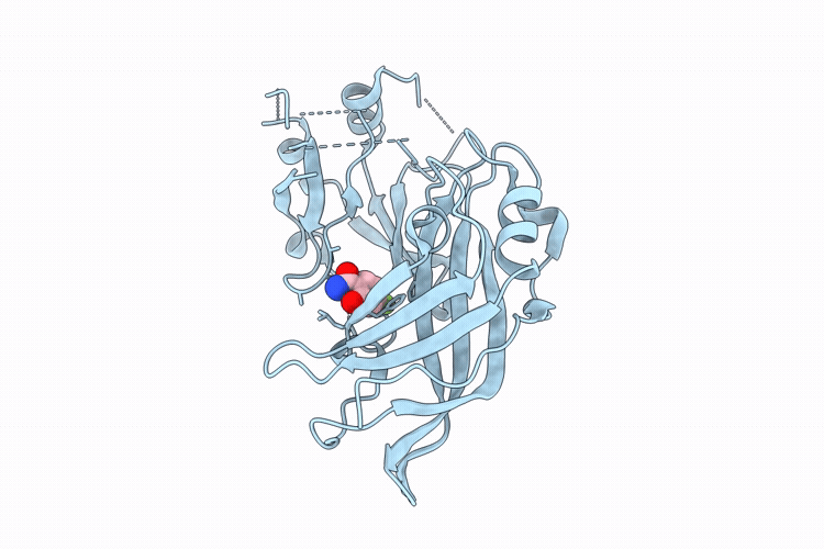 9RDO image