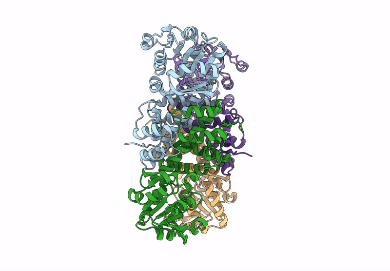 9RFA image