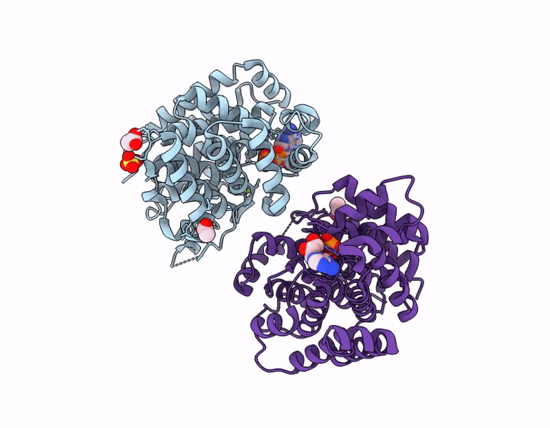 9RFD image