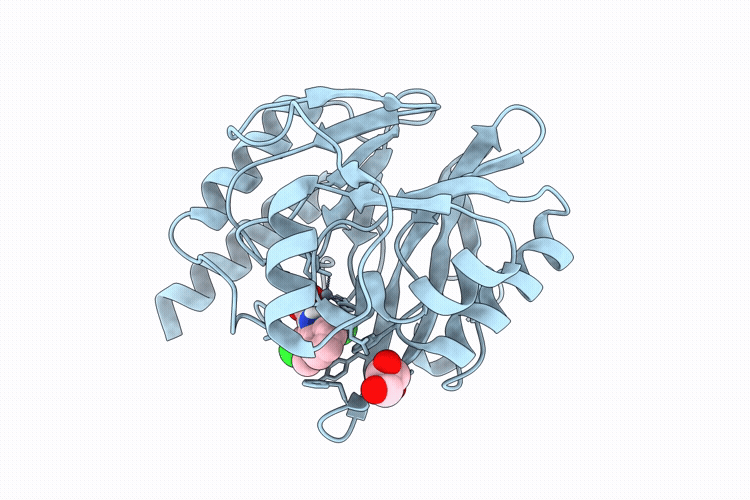 9RFG image