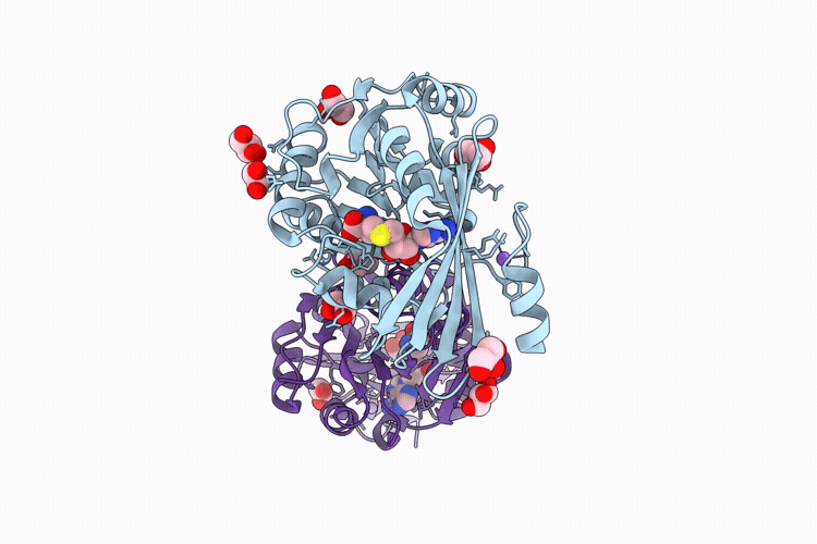9RFR image