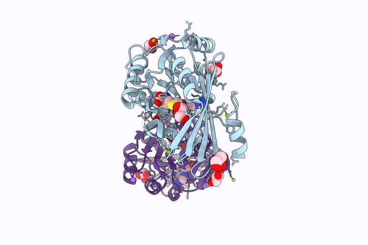 9RFS image