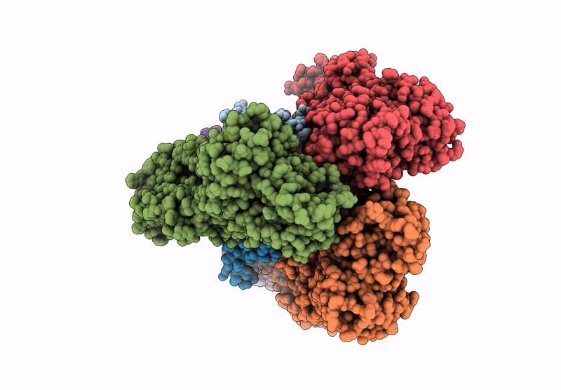 9RGB image