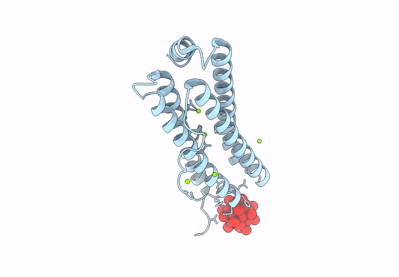 9RGI image