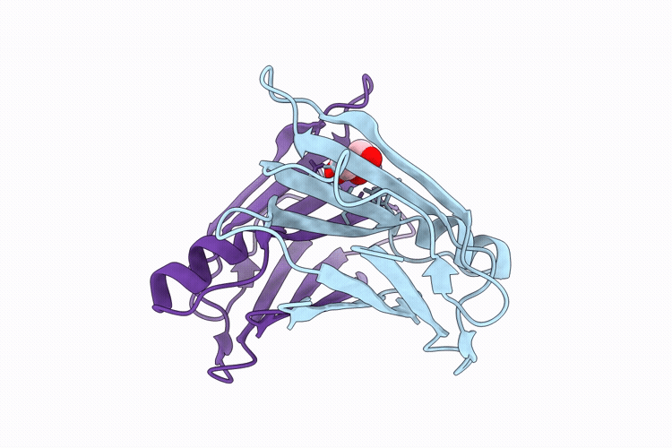 9RGK image
