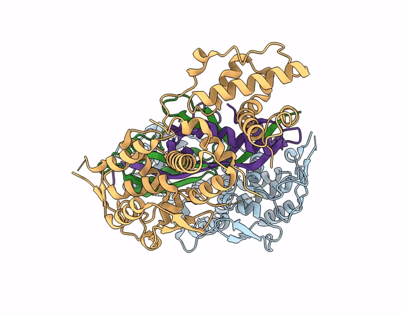 9RGL image