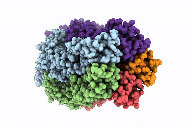 9RGM image
