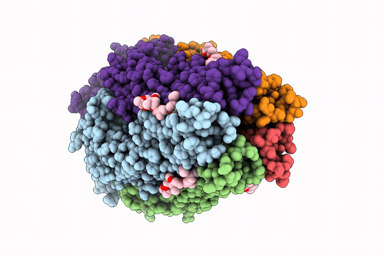 9RGP image