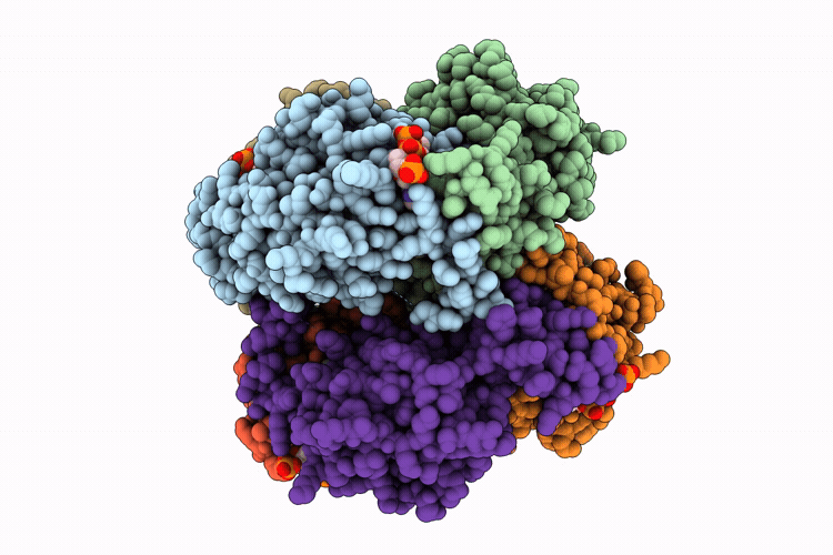 9RGS image