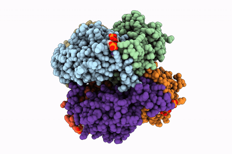 9RGU image