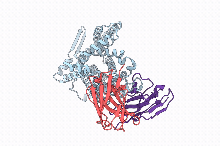 9RHB image