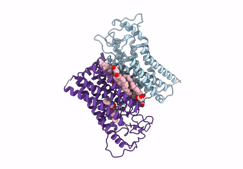 9RHG image