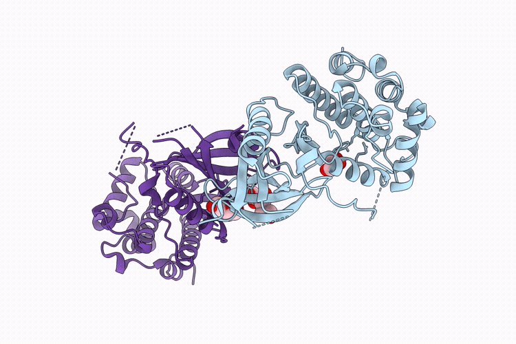 9RHH image