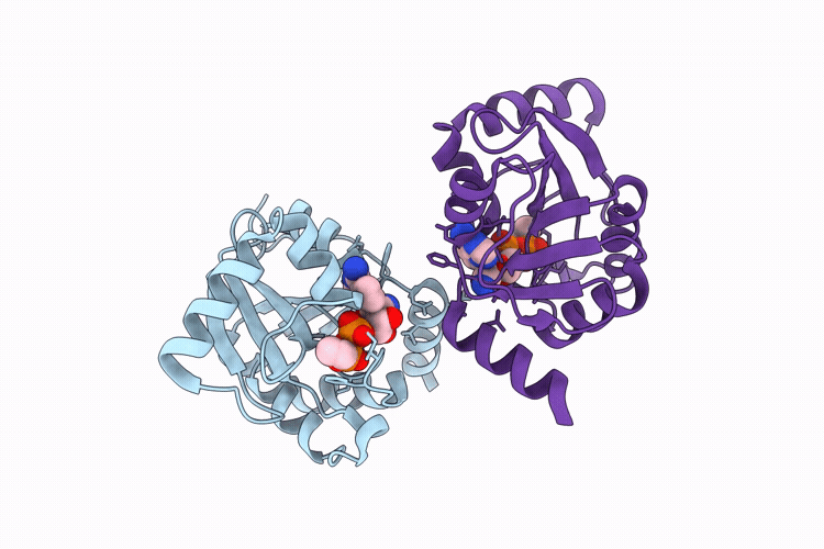 9RHN image